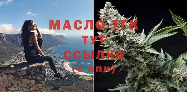 гидра Михайлов