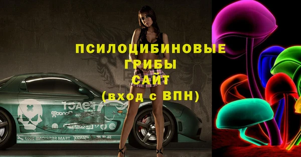 гидра Михайлов