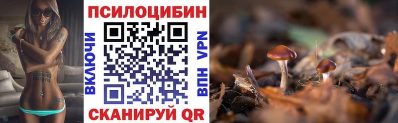 Псилоцибиновые грибы мухоморы  цены   Дегтярск 